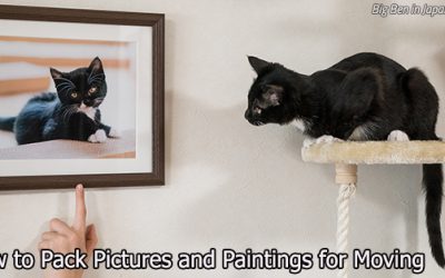 Picture This: How to Pack Pictures and Paintings for Moving