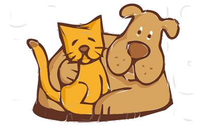 Tips for Moving with Pets Across Country