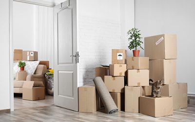 Moving Into an Apartment for the First Time: Checklist and Tips
