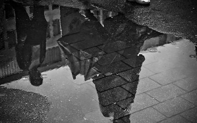 Moving in the Rain: Don’t Let Rain Ruin Your Move