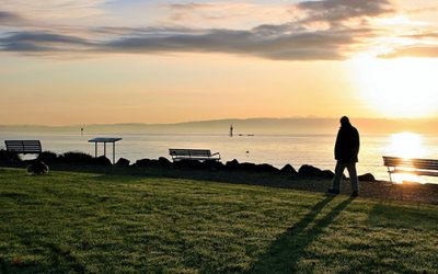 5 Things to Do When You Regret Moving