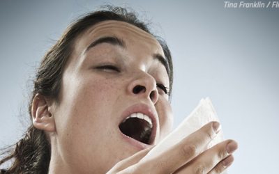 What to Do About Allergies After Moving