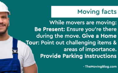What to do while movers are moving and packing